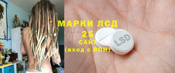 стаф Верея