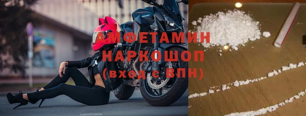 стаф Верея