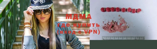 стаф Верея