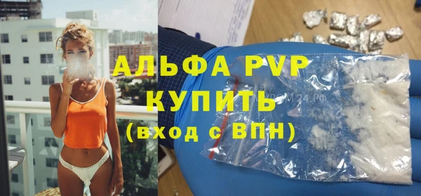 стаф Верея