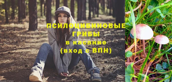 стаф Верея