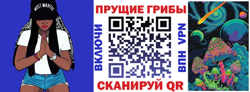 Псилоцибиновые грибы Psilocybine cubensis где купить наркотик нарко площадка состав Монино